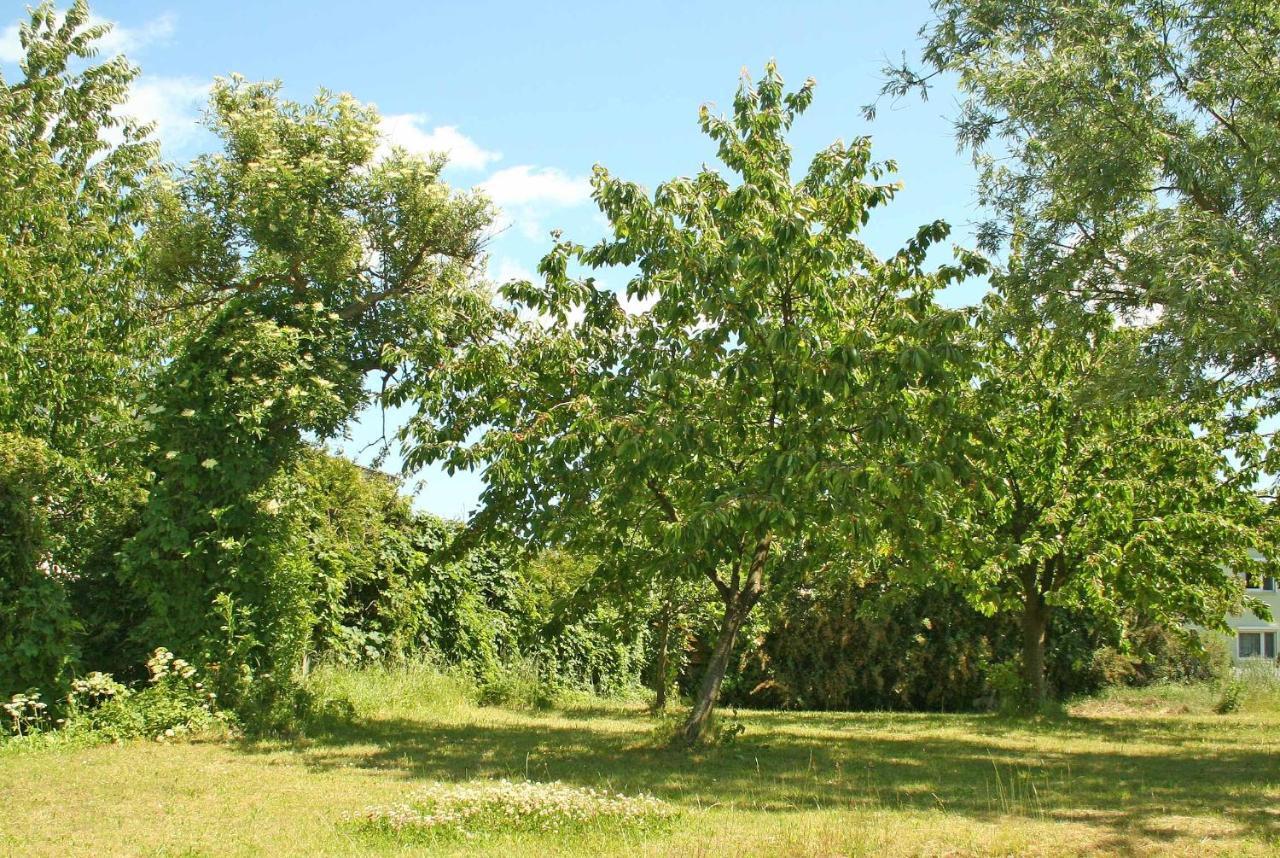 Ferienwohnungen Mirow See 10360 Exteriör bild