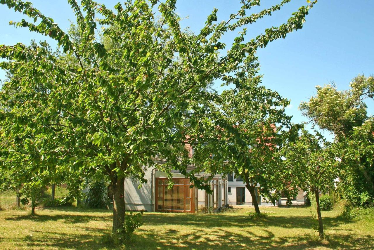Ferienwohnungen Mirow See 10360 Exteriör bild